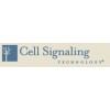 CST/ cellsignal公司代理