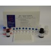 Total GLP-1 ELISA Kit