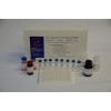 Active GLP-1Specific ELISA Kit