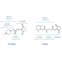 TMT或iTRAQ或MultiNotch定量蛋白組學(xué)分析